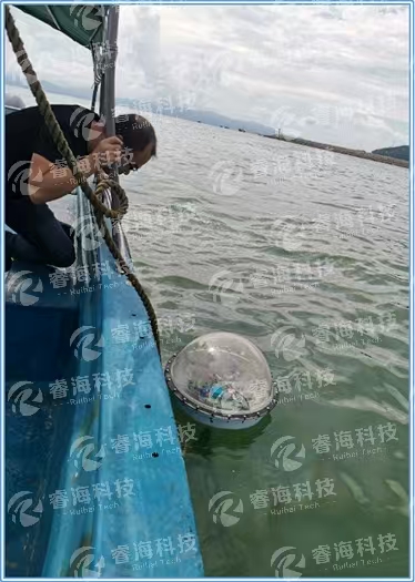 微信圖片_20250225154815